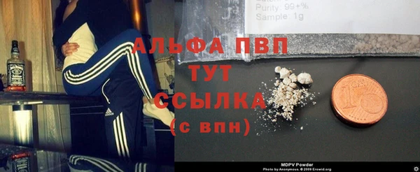 амф Гусь-Хрустальный