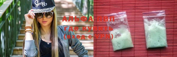 амф Гусь-Хрустальный