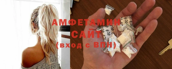амф Гусь-Хрустальный