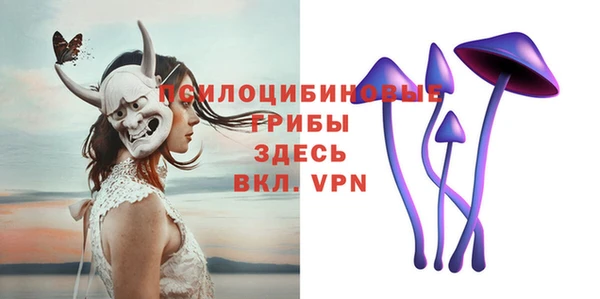 амф Гусь-Хрустальный