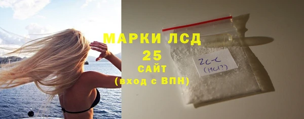 гидропоника Гусиноозёрск