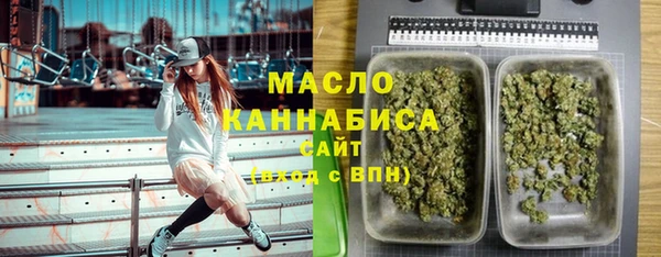 2c-b Гусев