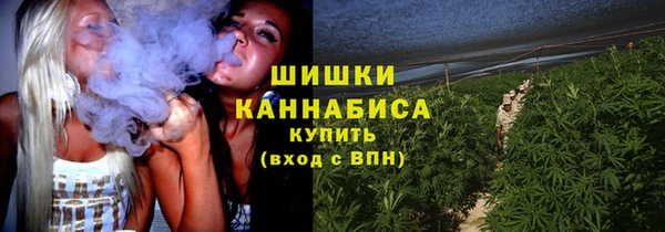 2c-b Гусев