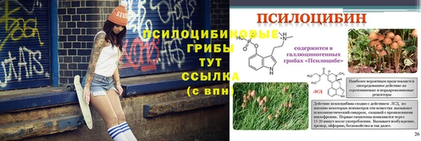амф Гусь-Хрустальный