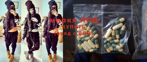 гидропоника Гусиноозёрск