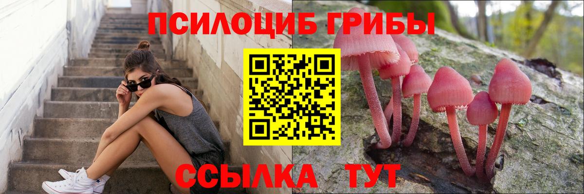 Псилоцибиновые грибы прущие грибы  Псилоцибиновые грибы MAGIC MUSHROOMS  Вход с VPN  Туймазы 